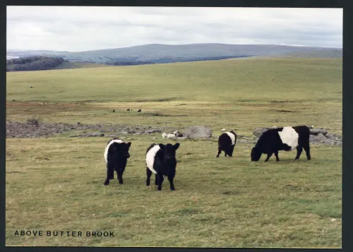 18/65 Butter brook 6/10/1991