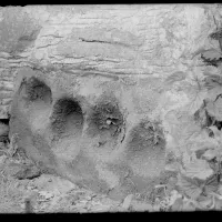 Mortar Stones in Wall of Pigsty, Little Horrabridge