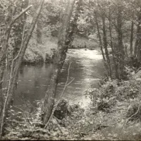 Dartmoor river