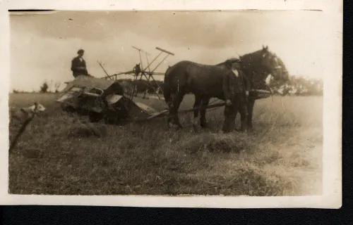 An image from the Dartmoor Trust Archive