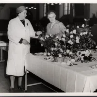 Butter Flowers display - Tavistock town hall