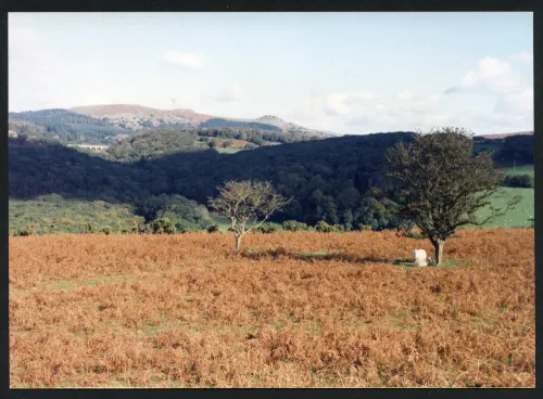 25/65 Lynch Common to Sharp and Leather Tors 19/10/1991