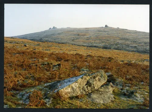 8/76 Near mid reach Smallacombe brook to Little and Great Links Tors 11/12/1996