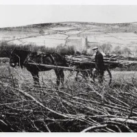 An image from the Dartmoor Trust Archive