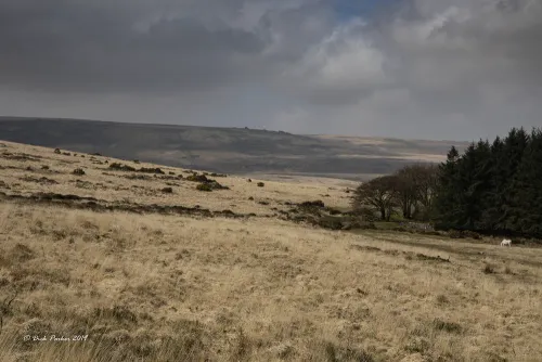 An image from the Dartmoor Trust Archive