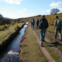 Devonport Leat in the Meavy valley