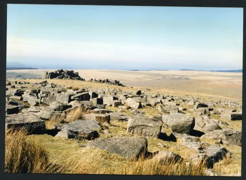 20/6 Lower Trowlesworthy Tor 23/3/1995