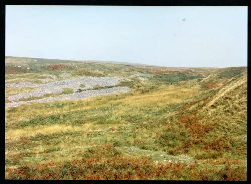 4/52 Wallabrook tinners burrows near source 4/9/1991