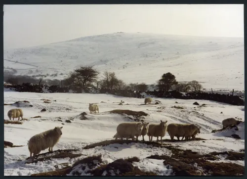 10/94 Above Glascombe Ford 15/2/1994