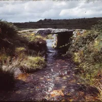 The Plym above Cadover