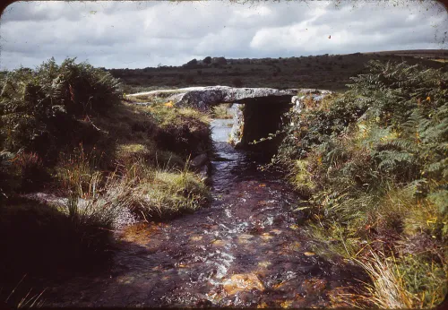 The Plym above Cadover