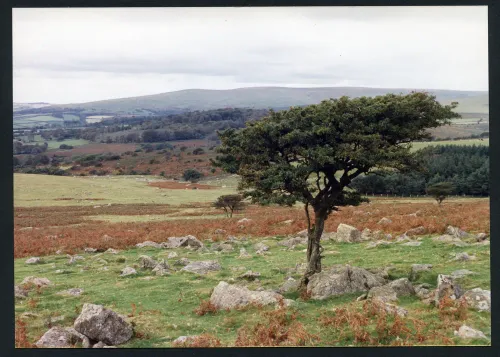 20/65 Above Butter brook to Pen beacon and Shiel top 6/10/1991