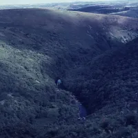 Dart Gorge from Bench Tor