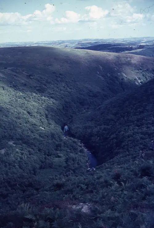 Dart Gorge from Bench Tor