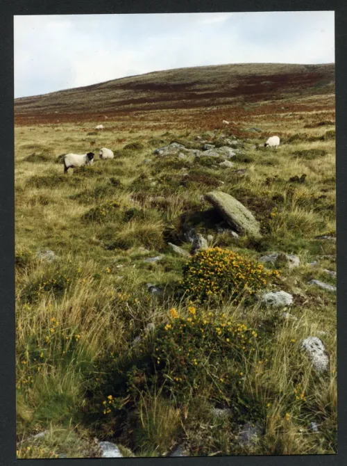 14/59 Reave above Small Brook Ford North to Big Whit Hill 19/9/1992