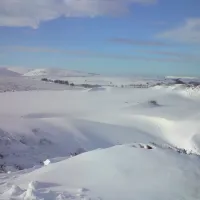 Dartmoor Snowdrifts