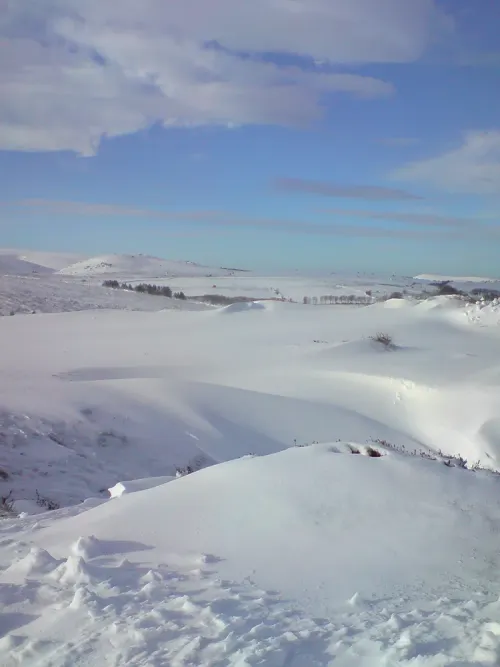 Dartmoor Snowdrifts