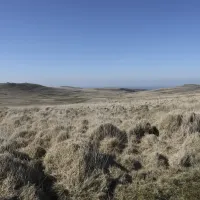 EAST MILL TOR FROM STEEPERTON TOR