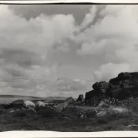 Sheep on  a tor