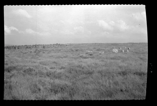 Fernworthy stone circle