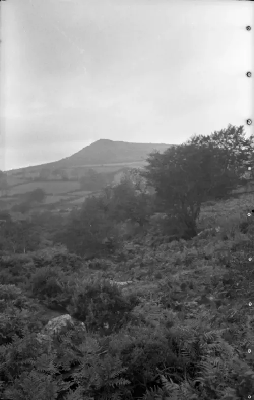 An image from the Dartmoor Trust Archive