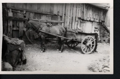 Willie May and cart