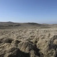 EAST MILL TOR FROM STEEPERTON TOR