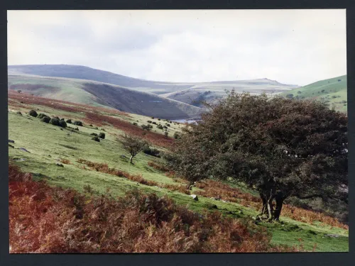 0/61 Above Meldon on Longstone Hill 23/9/1992