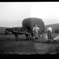 Haymaking near Dartmeet Hill