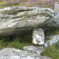 Trigged Stone Shapley 2