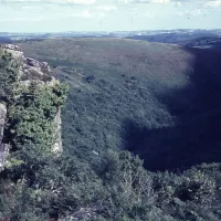 Dart Gorge from Bench Tor