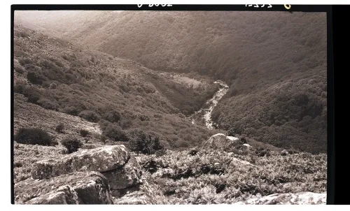 The River Dart from Meltor