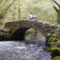 Hisley Bridge over the River Bovey