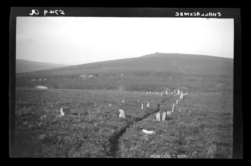 Challacombe Stone Rows