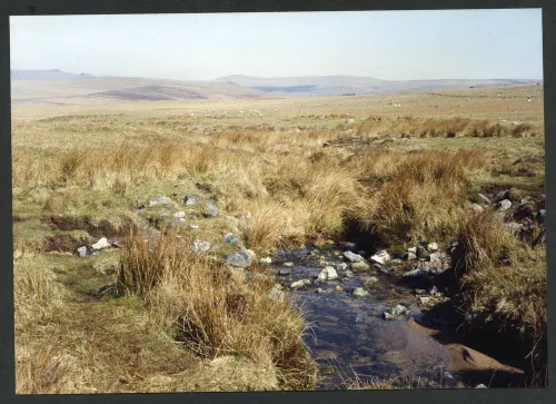 19/17 Higher ford Spanish Lake 11/4/1994