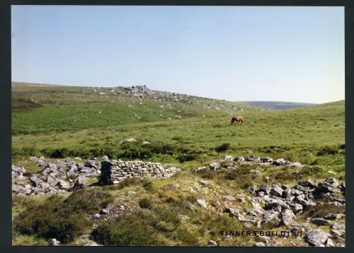 10/90 Langcombe, Harter Tor July 9