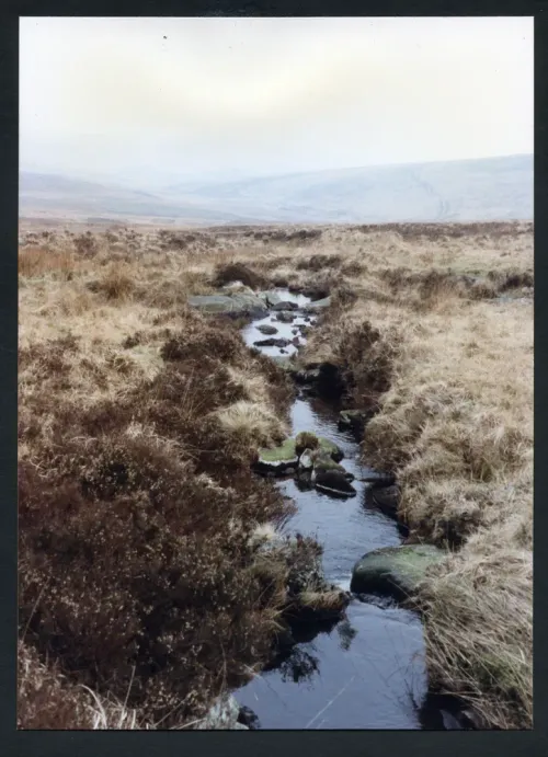 12/10 Below source of Green Tor water 8/3/1993