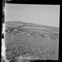 An image from the Dartmoor Trust Archive