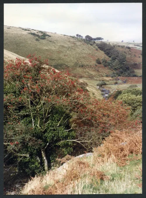 29/61 As 28/61 and Meldon Hill 28/9/1992