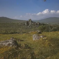 Vixen Tor from Heckwood