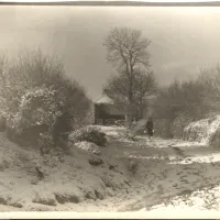 Snowy lane