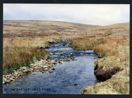 36/23 Plym at ford near Shavercombe Foot 4/5/1991