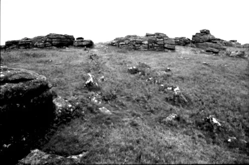 Summit of Hayne Down, Manaton