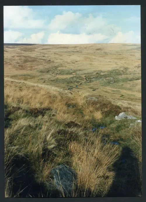 22/56 Dartmoor path 1/11/1994