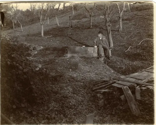 Mr Daw in the Hele House coppice.