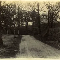 Gosepool Lane near Hele, Ashburton