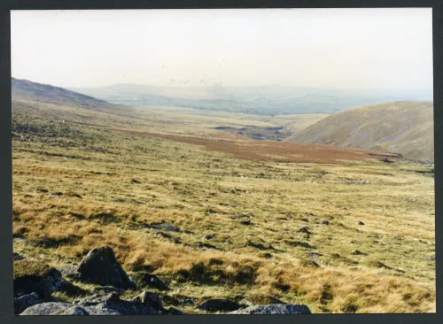 50/10/90 Above Smallacombe brook 