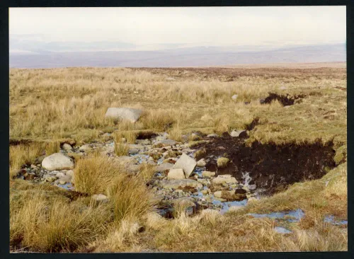 16/2/91 Source of Shavercombe Brook