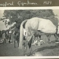 Chagford Gymkhana