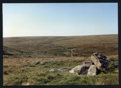 31/59 Kist above Plym steps 13/9/1991